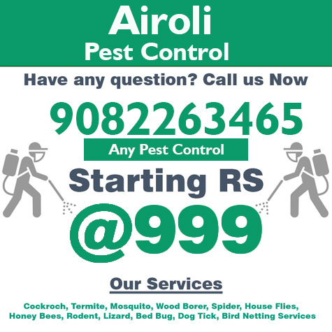 pest-control-Airoli